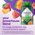 Vitafusion Power Multi Plus Vites with 90 gummies, designed for daily nutritional support.