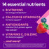 Product highlights graphic stating B VITAMINS energy*, CALCIUM & D3 bone support*, ANTIOXIDANTS C & E free radicals*, VITAMINS C, D & ZINC immune support*