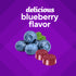 Biotin gummies in 'delicious blueberry flavor' text with fresh blueberries, green leaves, and red gummies displayed.