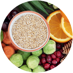 Fiber